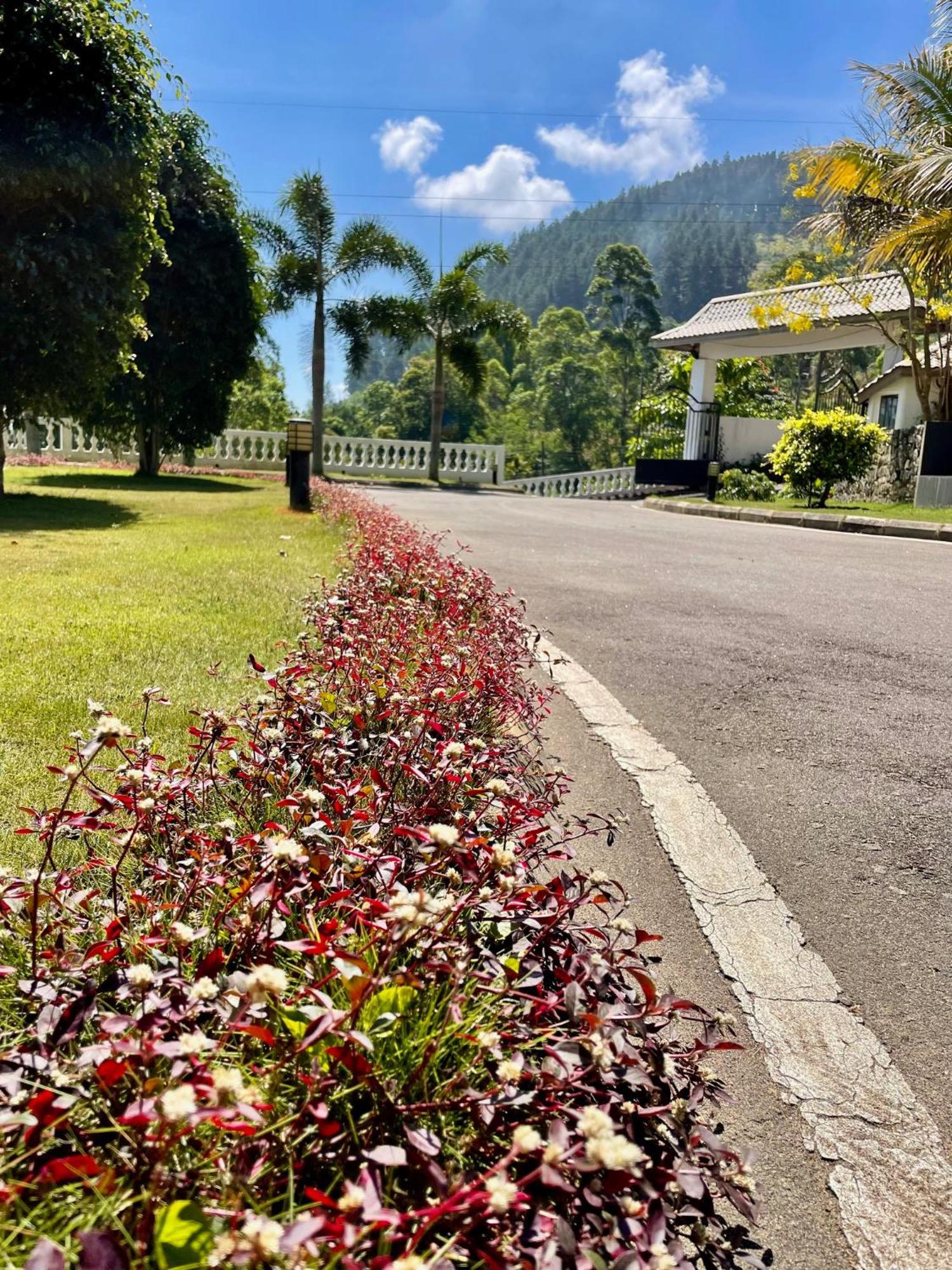 Bellwood Hills & Hotel Kandy