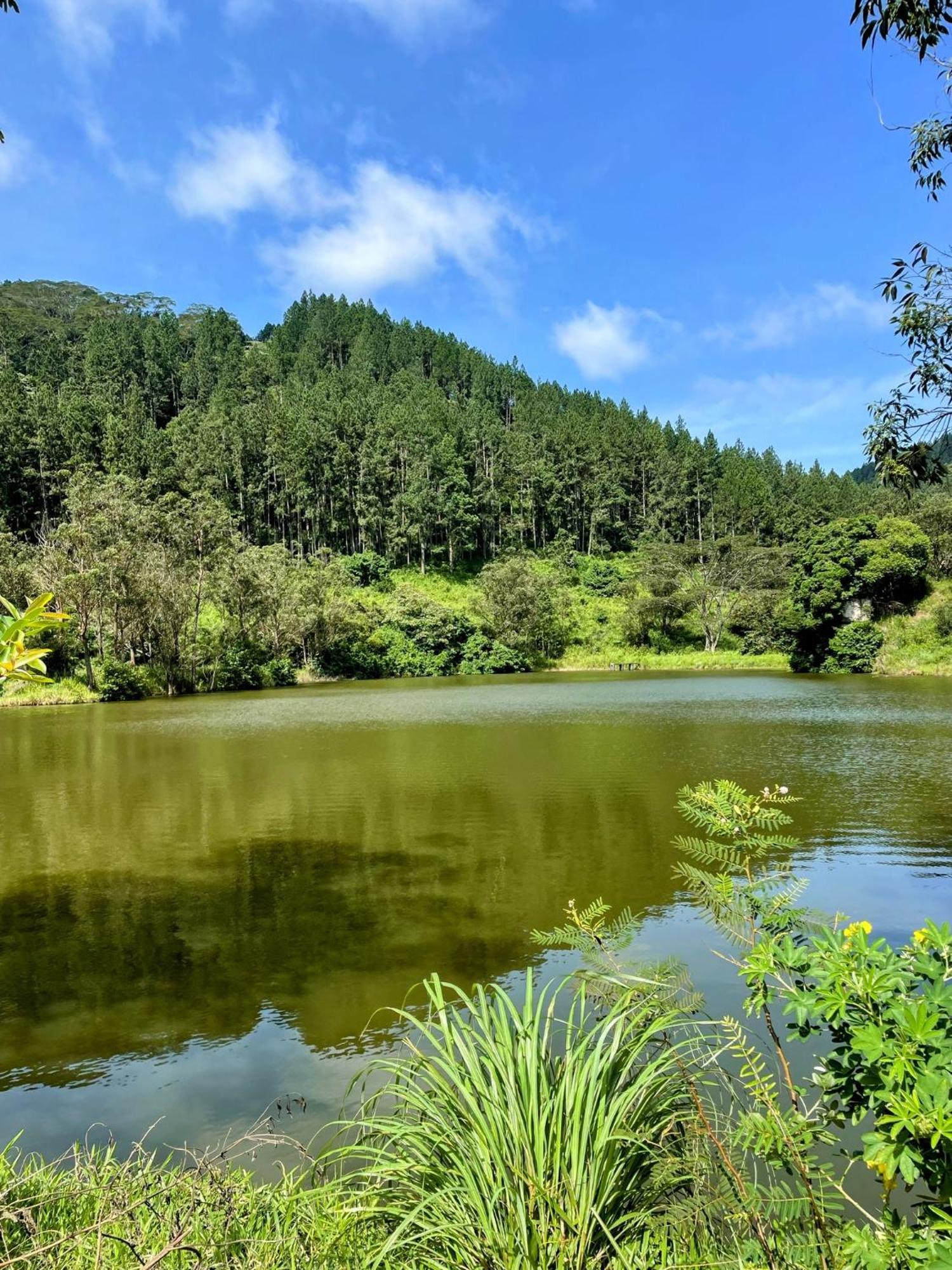 Bellwood Hills & Kandy